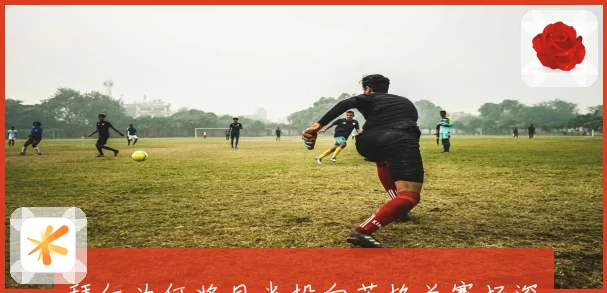拜仁为何将目光投向英格兰赛场深层原因解析战术观察