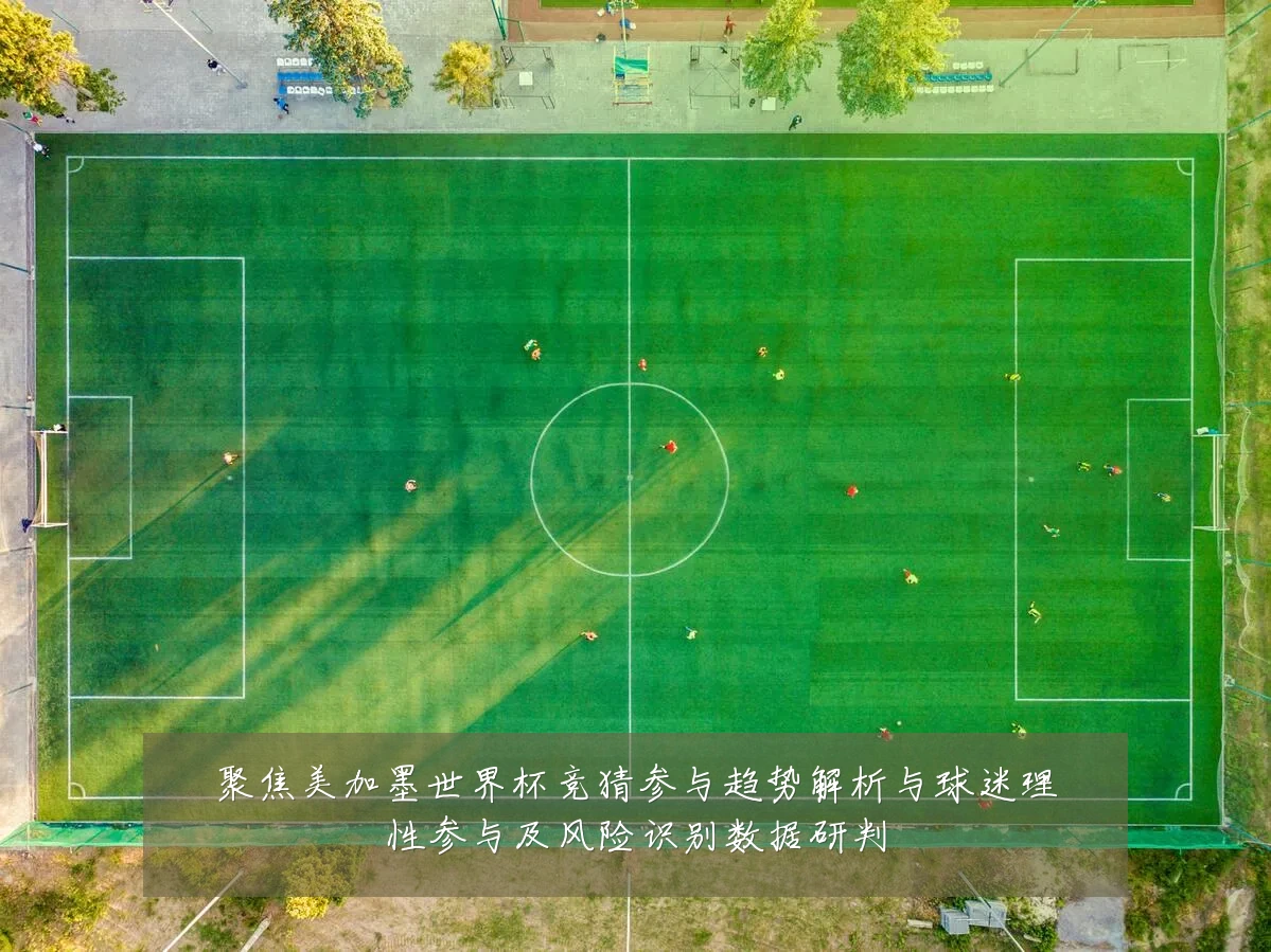 聚焦美加墨世界杯竞猜参与趋势解析与球迷理性参与及风险识别数据研判