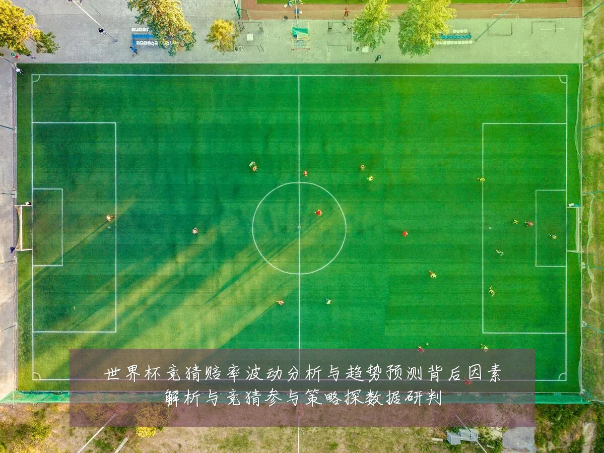 世界杯竞猜赔率波动分析与趋势预测背后因素解析与竞猜参与策略探数据研判