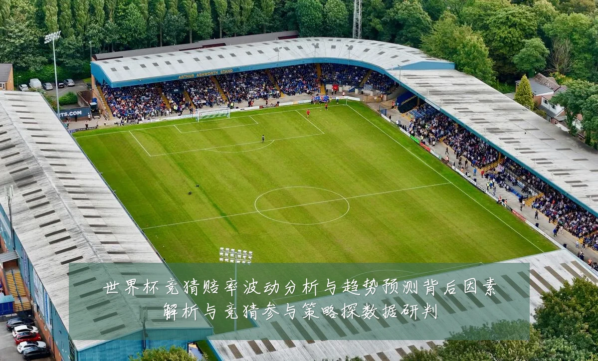 世界杯竞猜赔率波动分析与趋势预测背后因素解析与竞猜参与策略探数据研判